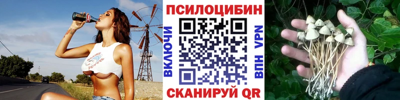 Галлюциногенные грибы мицелий  где купить наркотик  Куровское 